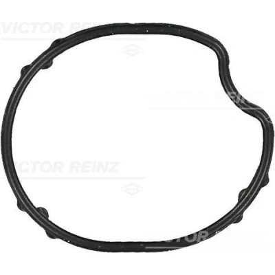 Kuva REINZ 71 36577 00 Tiiviste, Termostaatin Kotelo FORD: Focus Mk1 Farmari