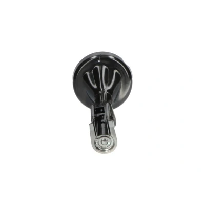 Kuva Iskunvaimennin, Etuakseli RENAULT TWINGO II OE 8200367895, 8200367898, 8200625500