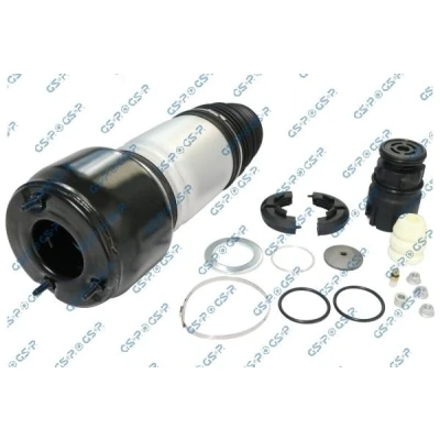 Kuva Ilmajousi, jousitus, Etuakseli, vasen mercedes benz e klass [w211], t model [s211] OE 2113205513, 211320551380, A2113205513