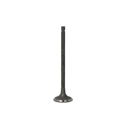Kuva FRECCIA R6604/RNT Pakoventtiili 27,7 Venttiilivarsi nitrattu RENAULT: MEGANE 3 Grandtour, 3, NISSAN: Qashqai / Qashqai+2 I