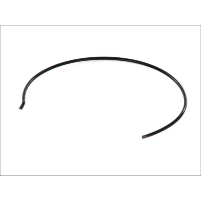 Kuva Euroricambi 60530991 Jousi