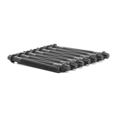 Kuva Sylinterikannen pulttisarja BMW OE 11121740065(x14)