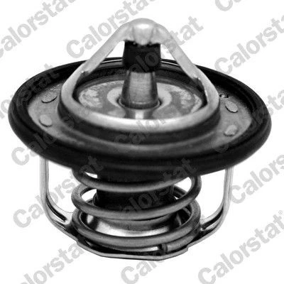 Kuva CALORSTAT by Vernet TH7300.95J Termostaatti 95 51,9 Tiivisteillä NISSAN: X Trail, Qashqai / Qashqai+2 I, Primera Farmari, RENAULT: GRAND SCENIC 3