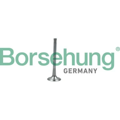 Kuva Borsehung B19011 Pakoventtiili VOLKSWAGEN: Transporter 5, Passat B6 Variant, Sharan II, AUDI: A4 B7 Avant, Sedan, A3 Hatchback