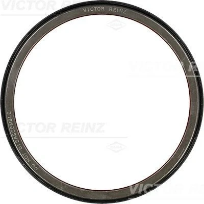 Kuva REINZ 81 37173 00 Kampiakselin Tiiviste PTFE (polytetrafluorietyleeni), ACM (polyakryyli kautsu)