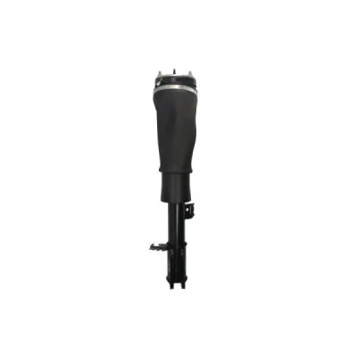 Kuva Magnum Technology APL018MT Ilmajousitus Eteen, oikea LAND ROVER: Range Rover 3