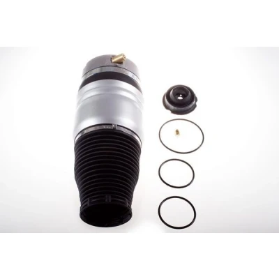 Kuva Ilmajousi, jousitus, Etuakseli, oikea AUDI Q7, PORSCHE CAYENNE, VW TOUAREG OE 7L5 616 404 B, 404, 7L6 B