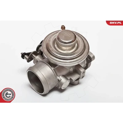 Kuva Venttiili, pakokaasun kierrätys AUDI, FORD, SEAT, SKODA, VW OE 038129637B, 038131501AQ, 038131501G