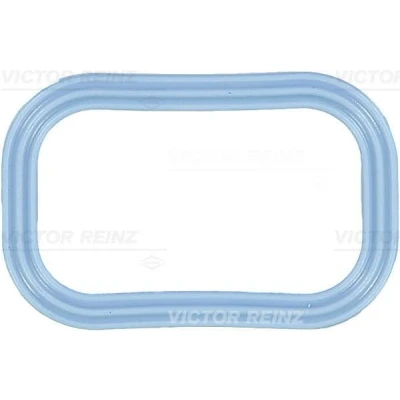 Kuva REINZ 71 35539 00 Imusarjan Tiivisteet FORD: Ranger Mk3, MONDEO 3, 3 Kombi, FIAT: Ducato III Bussi, Van