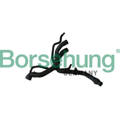 Kuva Borsehung B11977 Jäähdyttimen Letku Vasen