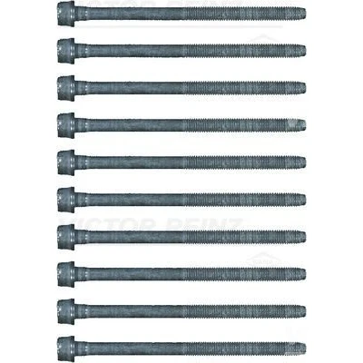 Kuva REINZ 14 17428 01 Kannen Pultit Torx, sisä