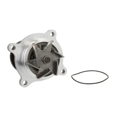 Kuva MAGNETI MARELLI 352316171312 Vesipumppu LAND ROVER: Range Rover 3, Sport