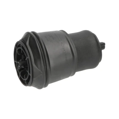 Kuva Ilmajousi, jousitus KAVO PARTS SAS 10024