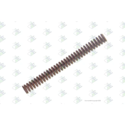 Kuva Euroricambi 60531249 Jousi