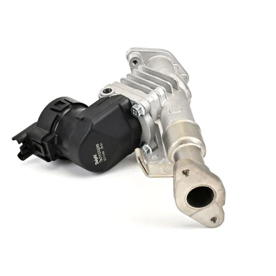 Kuva EGR venttiili DELPHI EG10488 12B1