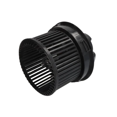 Kuva THERMOTEC DDP015TT Lämmityslaitteen Puhallin PEUGEOT: 207 Hatchback