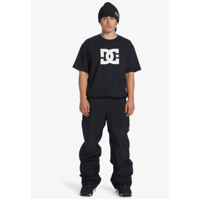 Kuva DC Snow Chino Housut ruskea