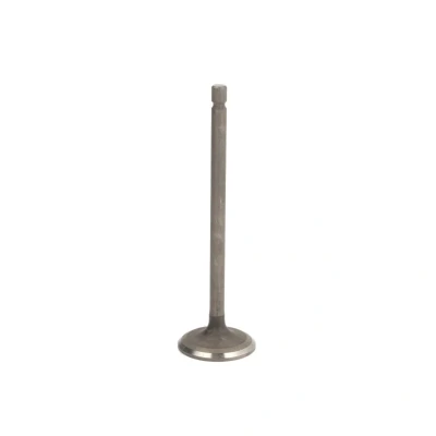Kuva FRECCIA R6700/RNT Imuventtiili 31,5 Venttiilivarsi nitrattu
