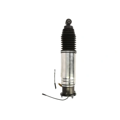 Kuva BILSTEIN B4 OE Replacement (Air) 44 219222 Ilmajousitus Taka akseli, oikea BMW: 7