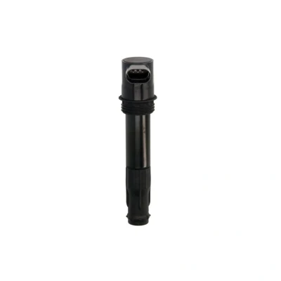 Kuva DELPHI CE10027 12B1 Sytytyspuola 3 12 LAND ROVER: Freelander I SUV