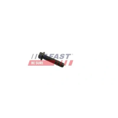 Kuva FAST FT51651 Kiertokangen Pultti