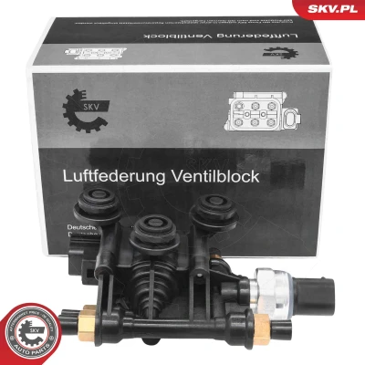 Kuva ESEN SKV 93SKV823 Venttiili, paineilmalaite Monitieventtiili LAND ROVER: Discovery 3