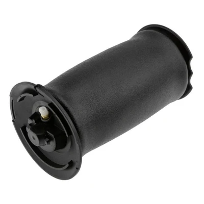 Kuva Ilmajousi, jousitus BMW 5 Touring [E61] OE 37 12 6 765 602, 603