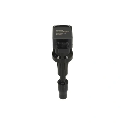 Kuva DELPHI GN10914 12B1 Sytytyspuola 4 12