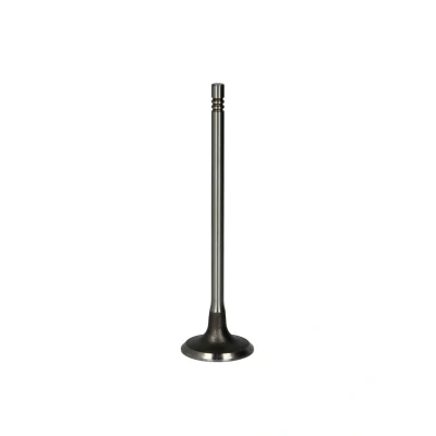 Kuva FRECCIA R6663/S Imuventtiili 28,8 PEUGEOT: 5008 II, CITROËN: C4 I Hatchback