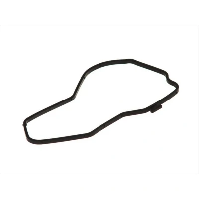 Kuva DT Spare Parts 1.24217 Tiiviste, Vesipumppu