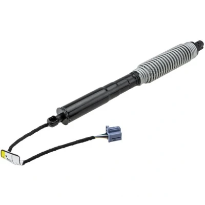 Kuva Sähkömoottori, takaluukku, Oikea BMW 7 [G11, G12] OE 51247357110