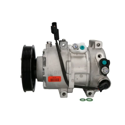 Kuva NISSENS 890689 Ilmastoinnin Kompressori DVE12 12 PAG 46 R 134a