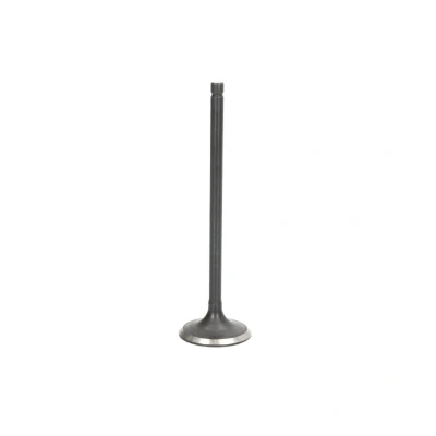 Kuva IPSA VL113000 Pakoventtiili 31,7