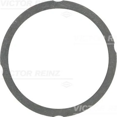 Kuva REINZ 61 25475 40 Kannentiiviste 1,2 102,6