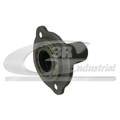 Kuva 3RG 24905 Ohjainhylsy, Kytkin FIAT: Grande Punto Hatchback, Idea