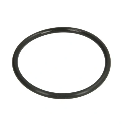 Kuva DT Spare Parts 6.30069 Tiiviste, Vesipumppu
