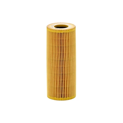 Kuva MANN FILTER HU 7029 z Öljynsuodatin Tiivisteillä Suodatinpanos AUDI: A5 B8 Coupe, A6 C6 Sedan, Sportback, VOLKSWAGEN: Touareg II
