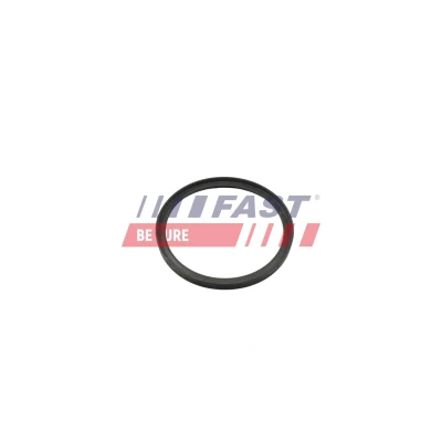 Kuva FAST FT49857 Rengastiiviste NISSAN: NV300 Van
