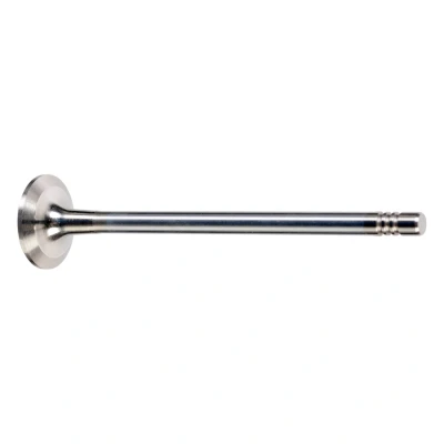 Kuva FEBI BILSTEIN 176537 Pakoventtiili 24 RENAULT: Captur, Clio 4
