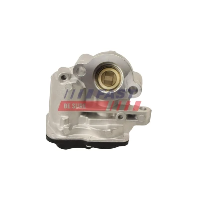 Kuva FAST FT60244 EGR Venttiili