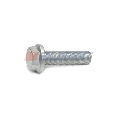 Kuva Ruuvi, jarrusatula AUGER 105123
