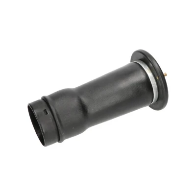 Kuva KAVO PARTS SAS 10025 Ilmajousi, Jousitus Taka akseli