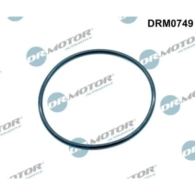 Kuva DR.MOTOR AUTOMOTIVE DRM0749 Imusarjan Tiivisteet EGR venttili pakosarjalla VOLKSWAGEN: Crafter 30 50 Van, 35 Bussi