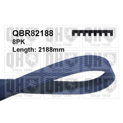 Kuva QUINTON HAZELL QBR82188 Moniurahihna 2188 8 JEEP: Cherokee II