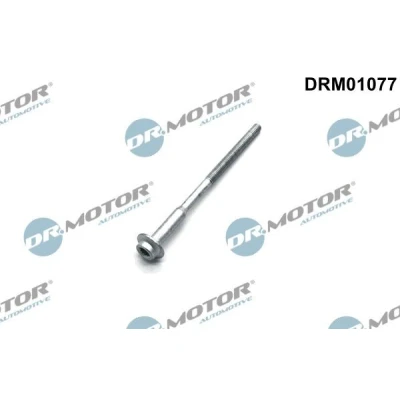 Kuva DR.MOTOR AUTOMOTIVE DRM01077 Ruuvi Ruiskutussuutinpidike VOLKSWAGEN: Polo V Hatchback, SKODA: Fabia 2