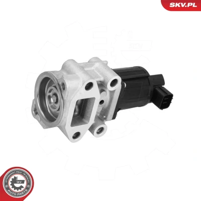Kuva EGR venttiili ESEN SKV 14SKV300