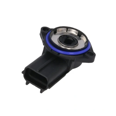 Kuva DELPHI SS10528 12B1 Kaasuläpän Asentotunnistin FORD: MONDEO 3 Kombi, FIESTA 5, 4