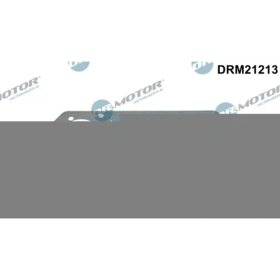 Kuva DR.MOTOR AUTOMOTIVE DRM21213 Tiivistesarja Sylinterikansi 77 SKODA: Fabia 1 Combi, I Hatchback, FELICIA Kombi