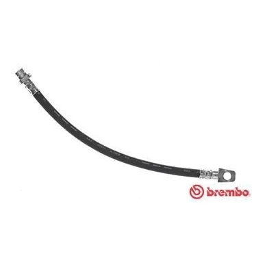 Kuva BREMBO T 56 114 Jarruletku 310 F10X1 NISSAN: Patrol Hardtop