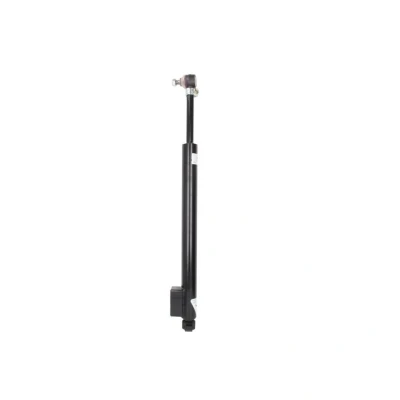 Kuva DT Spare Parts 2.53267 Ohjausvaimennin
